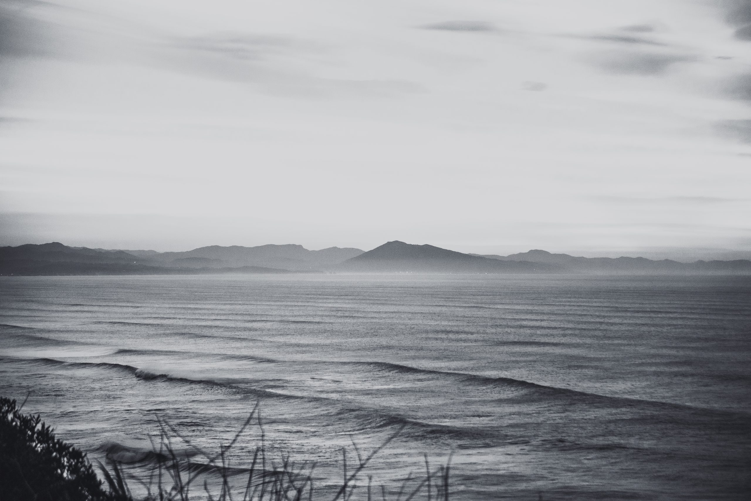 paysage N&B_-9